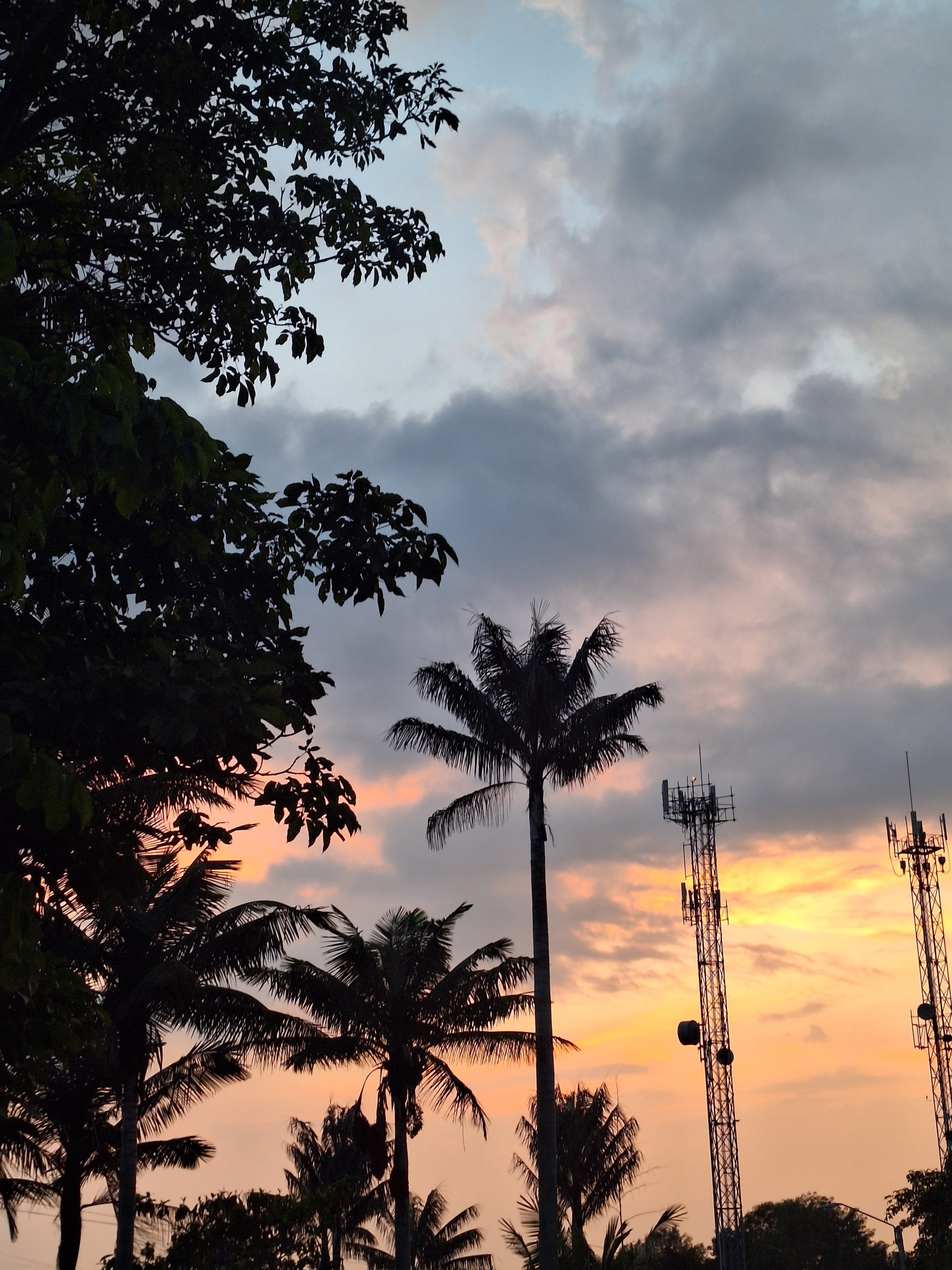 [Image of Animales de granja interactuando con visitantes en PANACA, Quindío]