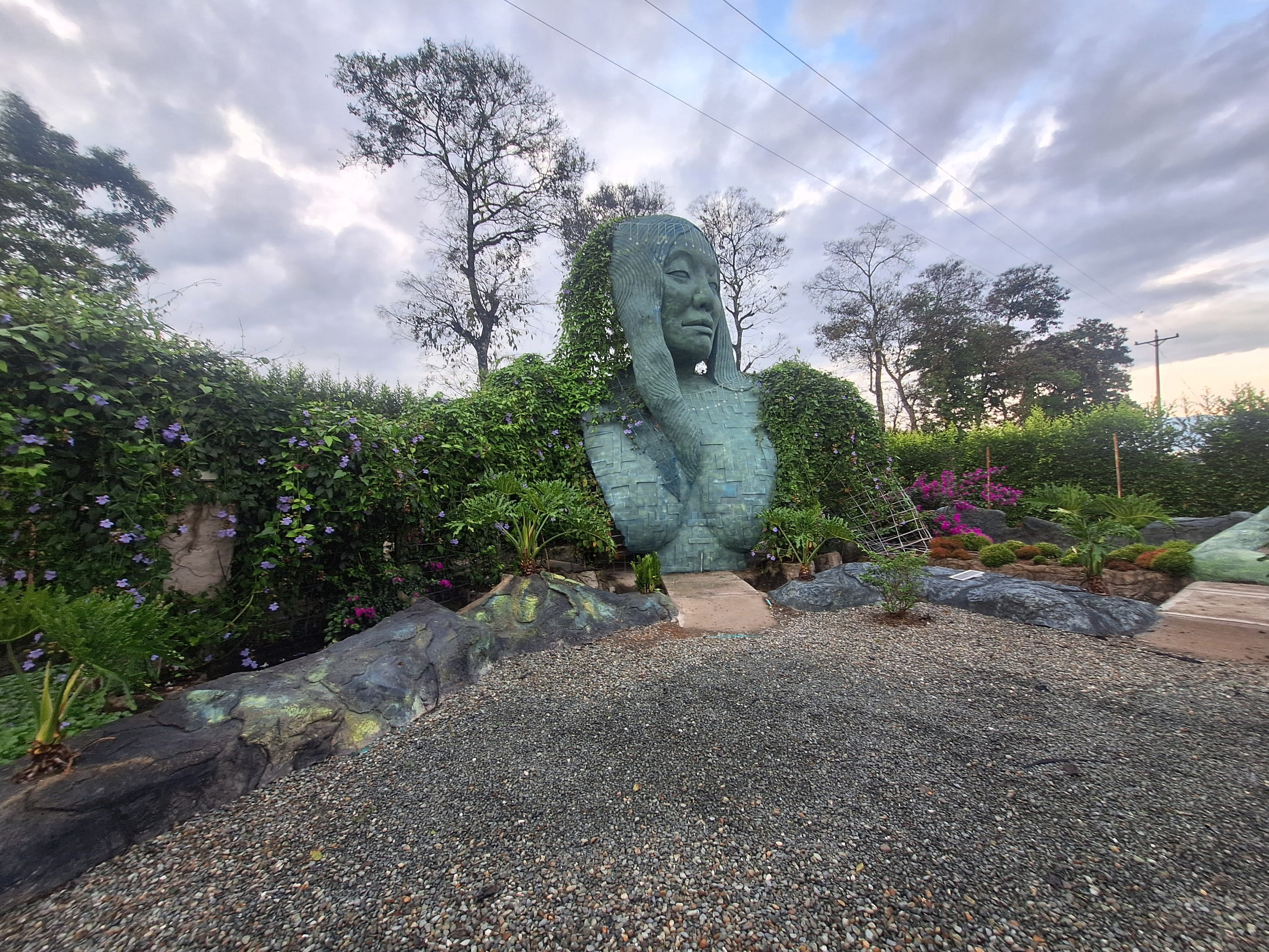 Valle de Cocora con palmas de cera